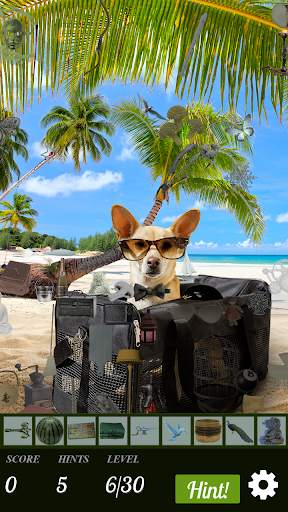 Hidden Object - Travelling Pets screenshot 7