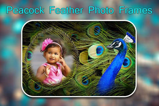 Peacock Feather Photo Frames screenshot 2