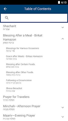 Siddur Tehillat Hashem – Linear Edition screenshot 3