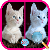 Find the Differences Games Free icon