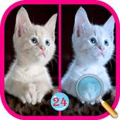 Find the Differences Games Free 1.0
