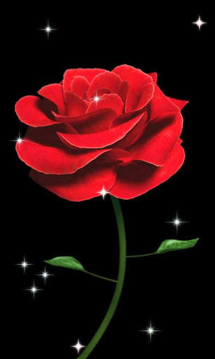 Rose Live 3D Wallpaper screenshot 3