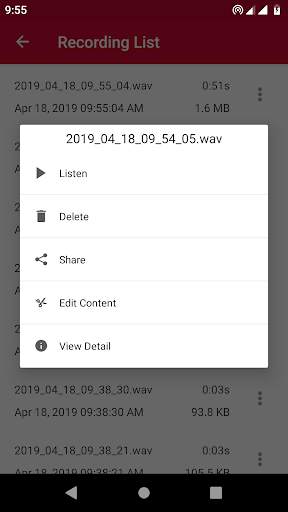 Audio Recorder - High-quality voice recorder скриншот 3