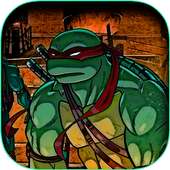 Turtle adventure ninja