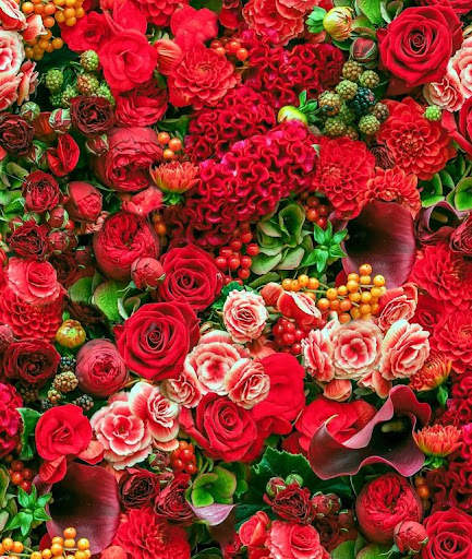 Flowers Wallpaper screenshot 1