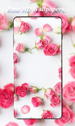 Rose Wallpapers screenshot 6