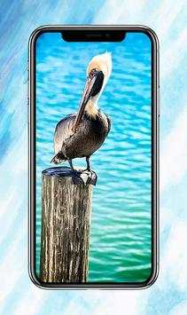 All Birds Wallpapers скриншот 3