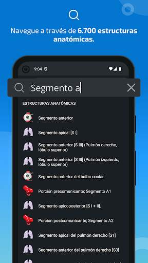e-Anatomy screenshot 3