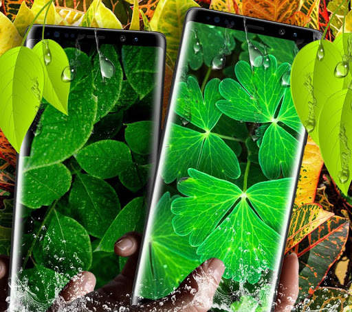 Leaf Live Wallpaper screenshot 2
