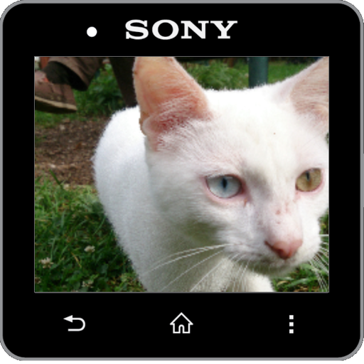Media Viewer for Informer Pro icon