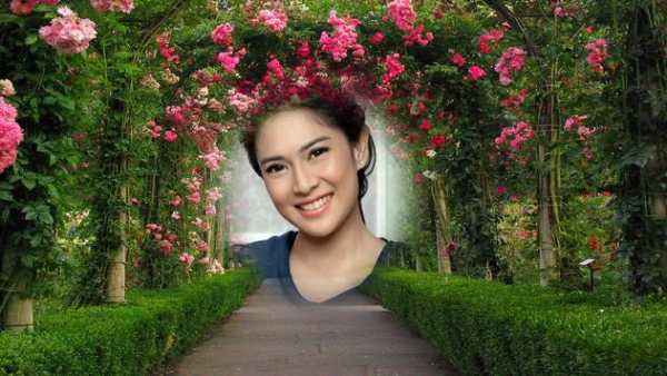 Garden Photo Frames 3 تصوير الشاشة
