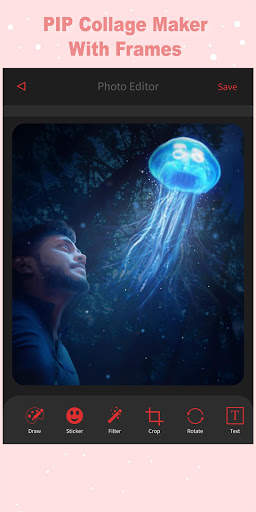 Photor: Pro Photo Editor & PIP Collage Maker 3 تصوير الشاشة
