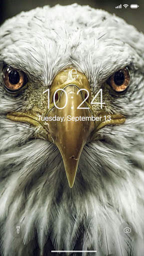 Eagle Wallpaper screenshot 6