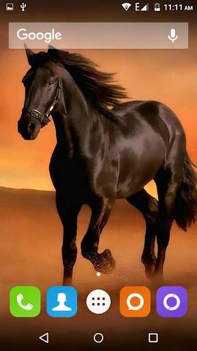 Horse Hd Wallpaper screenshot 3