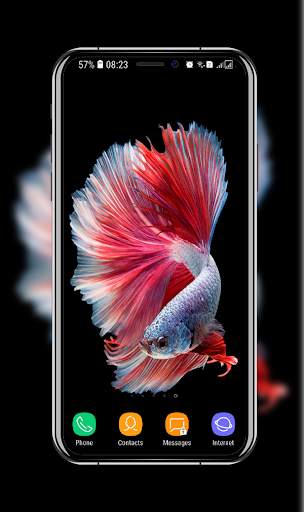 New Betta Fish Wallpaper скриншот 11
