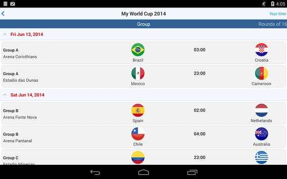 My World Cup screenshot 4