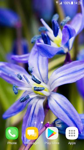 Beautiful Spring Flowers Live Wallpaper screenshot 4