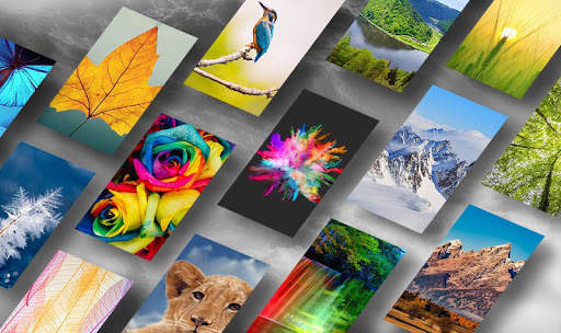 Wallpaper 4K all free Full HD Background Images screenshot 4