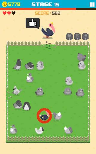 Find Bird - match puzzle screenshot 11
