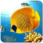 Fish Wallpaper 1.6