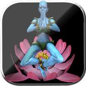 Chakra Experience 1.0.1