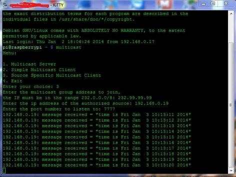 Simple Multicast screenshot 4