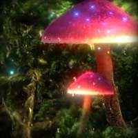 3D Mushroom  Live Wallpape HD icon
