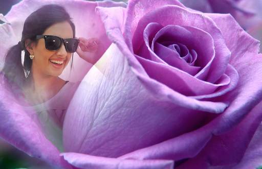 Macro Rose Photo Frames screenshot 3