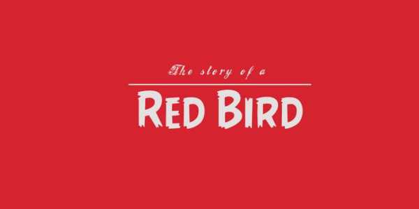 Red Bird Theme स्क्रीनशॉट 1