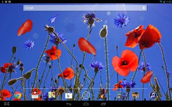 Poppies flowers LWP screenshot 3