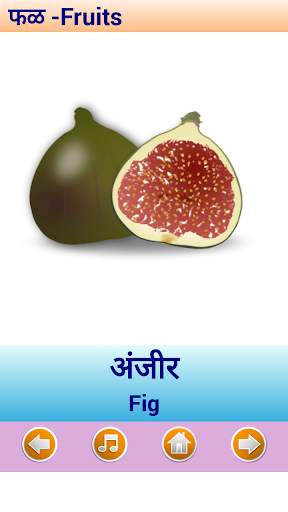 Marathi Alphabet скриншот 5