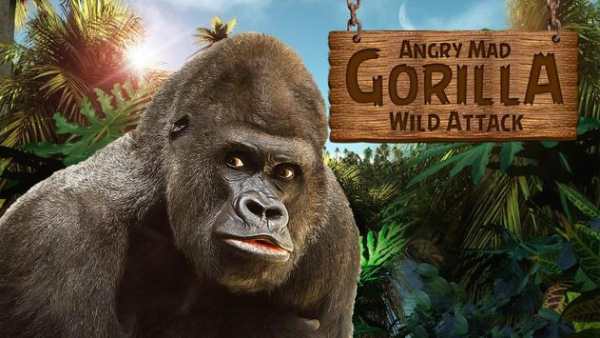 Angry Mad gorilla Wild Attack screenshot 9