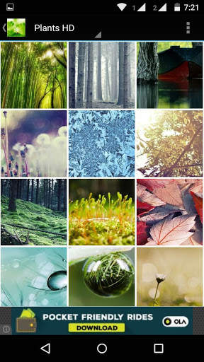 Plant HD Wallpaper screenshot 3