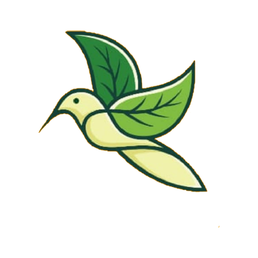 Fly VPN icon