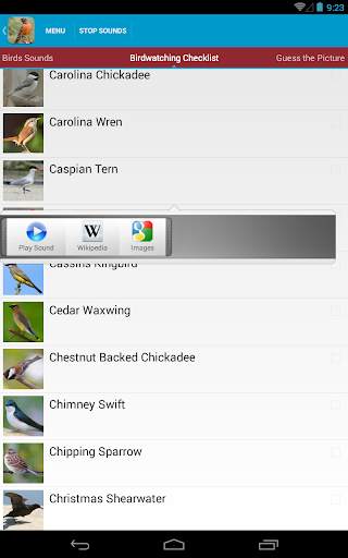 North American Birds Free screenshot 11