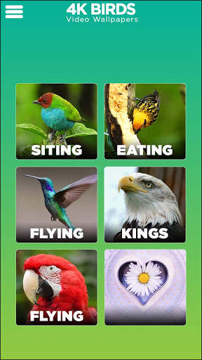 4K Bird live Wallpaper: Birds Wallpaper स्क्रीनशॉट 4