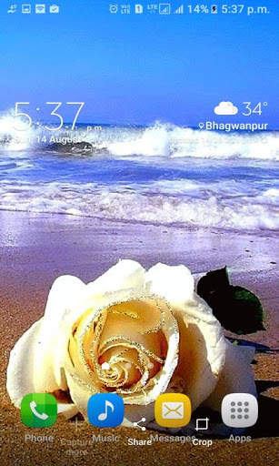 Ocean Flower Live Wallpaper 3 تصوير الشاشة