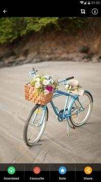 Wallpaper Beach Cruiser screenshot 3