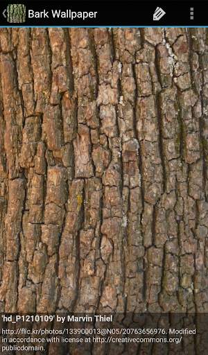 Bark Wallpaper screenshot 7
