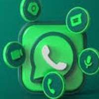 Update for WhatsApp Pro logo