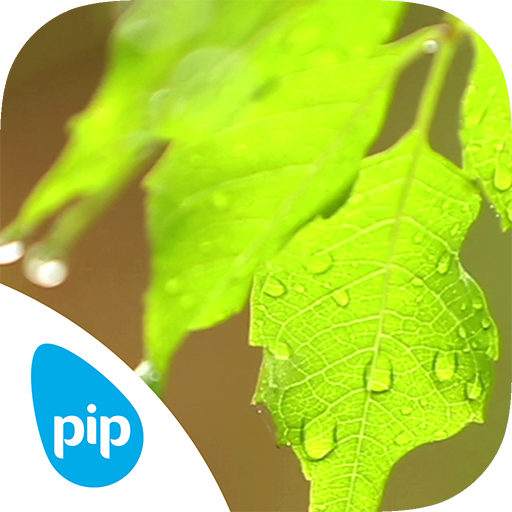 Pip: Clarity icon