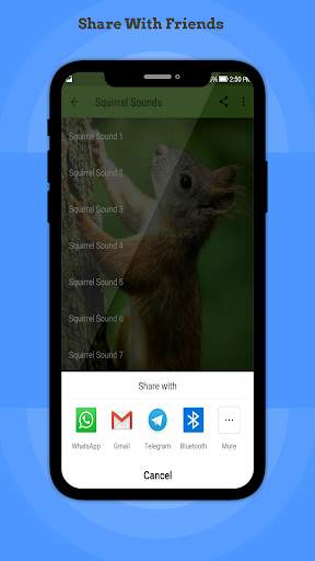 Squirrel Sounds screenshot 4