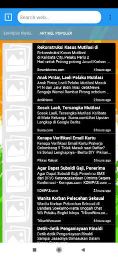 Indian Browser screenshot 8