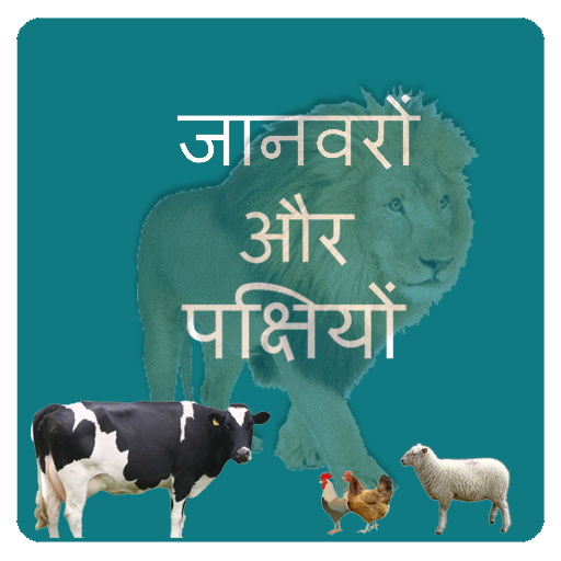 Learn Animals and Birds in Hin icon