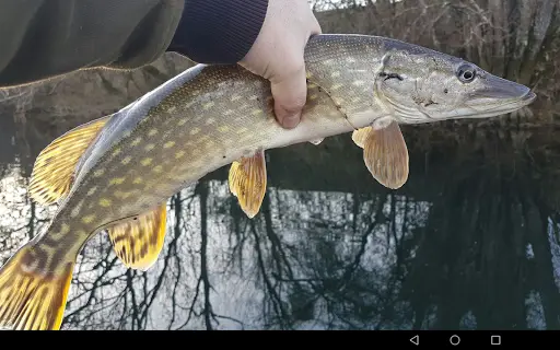 Fishing Fish Counter -  fishing app screenshot 10