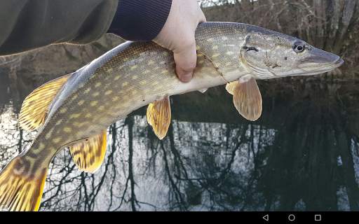 Fishing Fish Counter -  fishing app screenshot 10