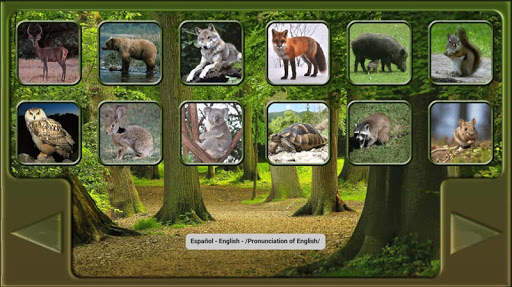 ANIMALES - ANIMALS screenshot 3