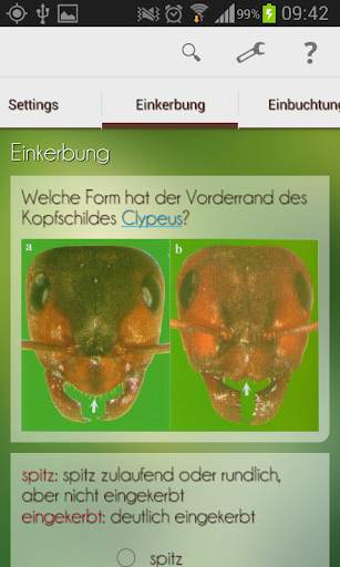 Ant App screenshot 4