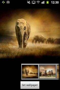 Wild Animals ADW Launcher screenshot 4