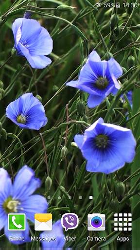 Blue Flowers Live Wallpaper screenshot 4